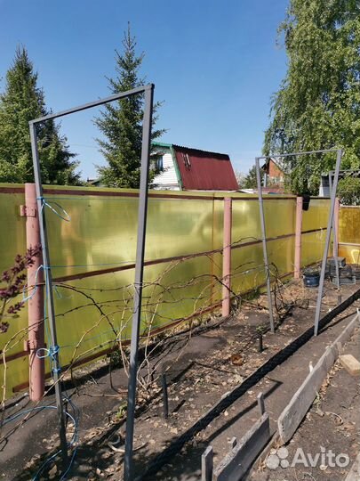 Шпалеры для винограда