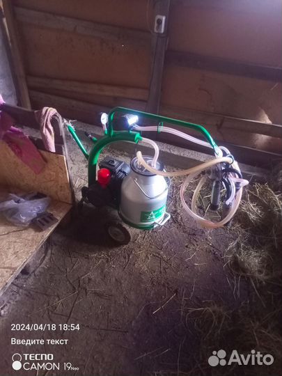 Доильный аппарат для коров