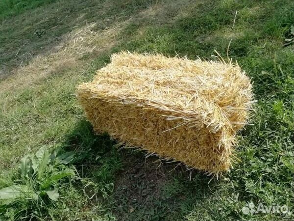 Солома рисовая