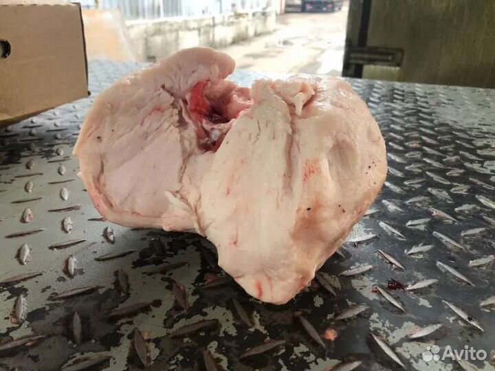 Курдюк свежий