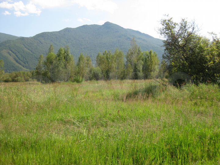 Участок 8,3 га (СНТ, ДНП)