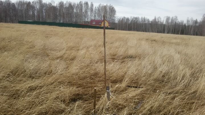 Участок 40 сот. (СНТ, ДНП)