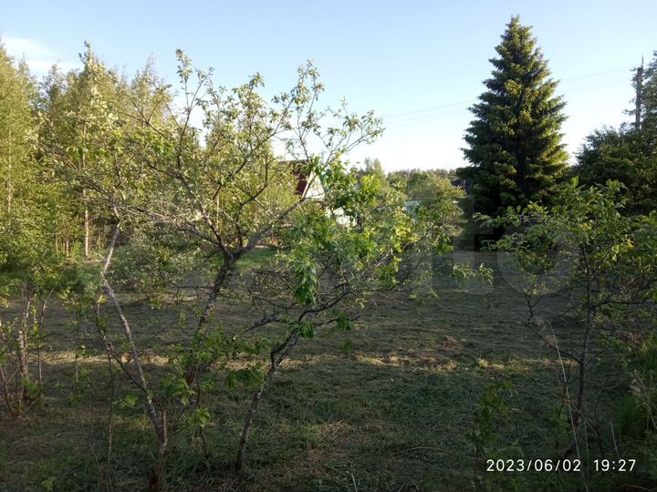 Участок 6 сот. (СНТ, ДНП)