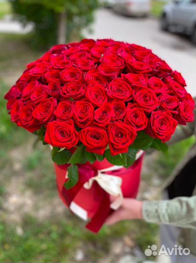 101 красная роза в коробке
