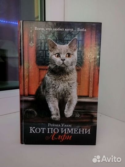 Кот по имени Алфи