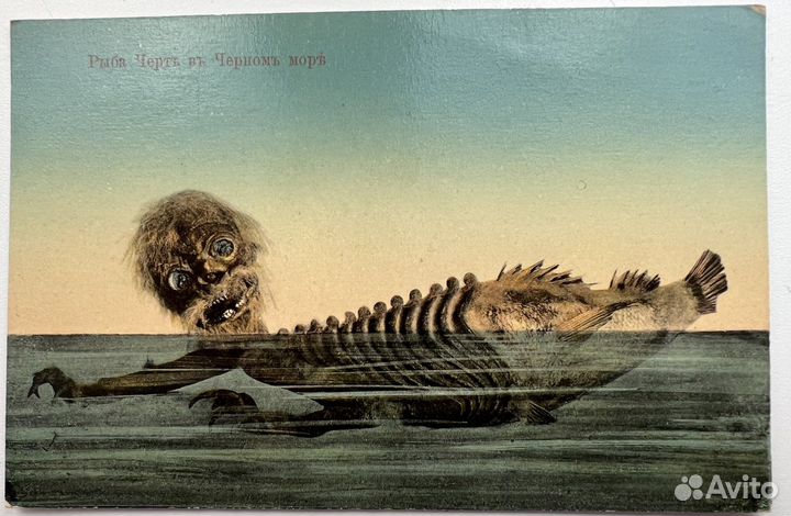 Открытка Рыба Черт в черном море