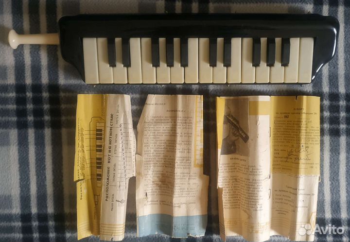 Духовая гармоника 