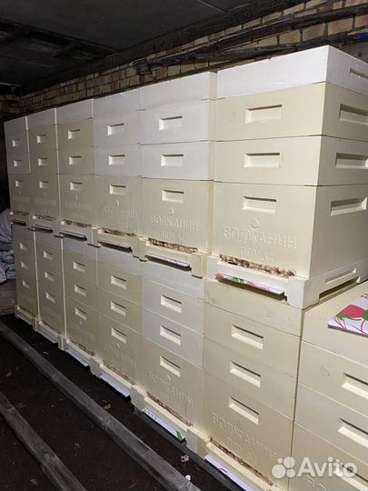 Ульи для пчел ППУ