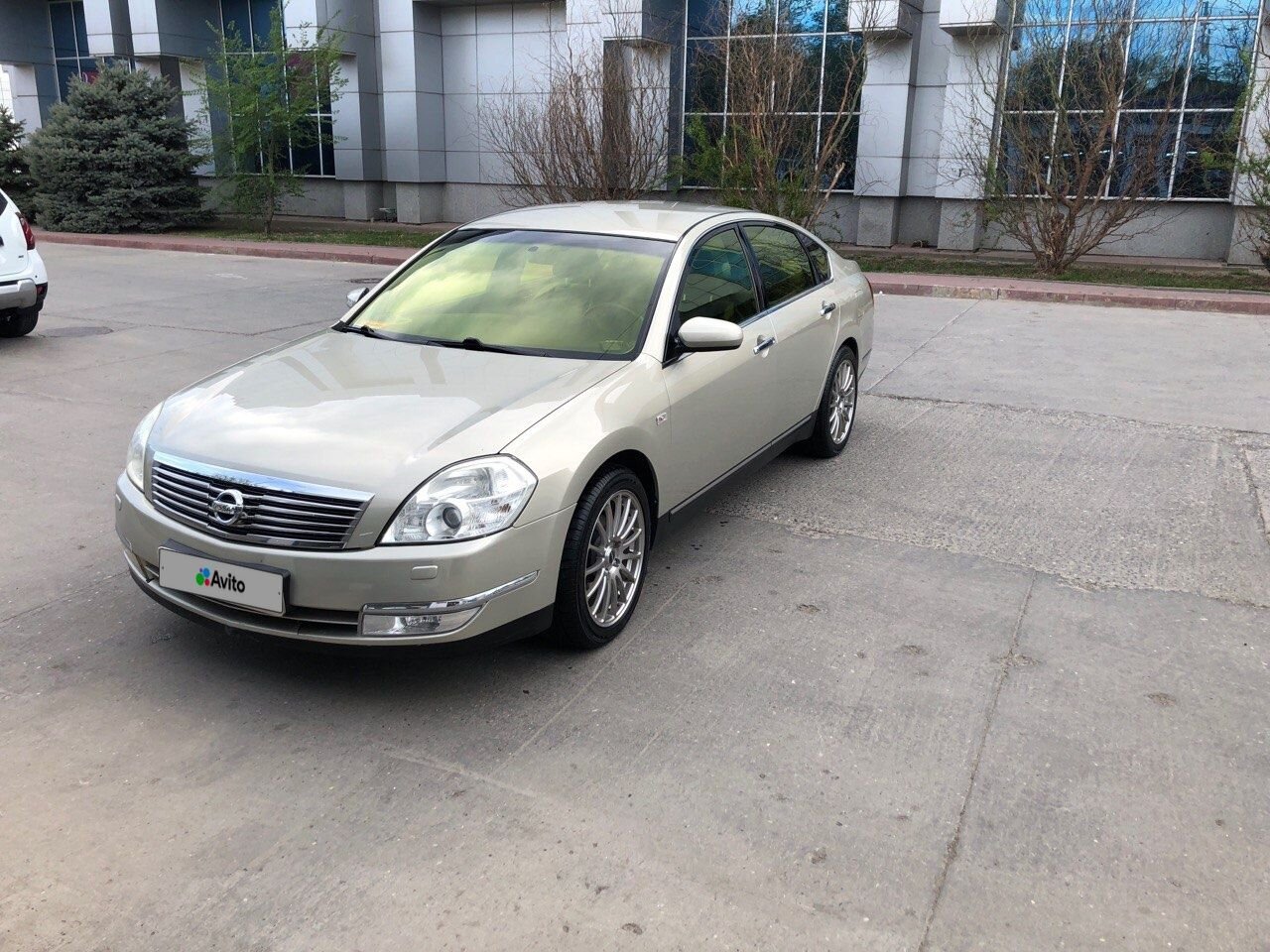 Nissan Teana: фото владельца