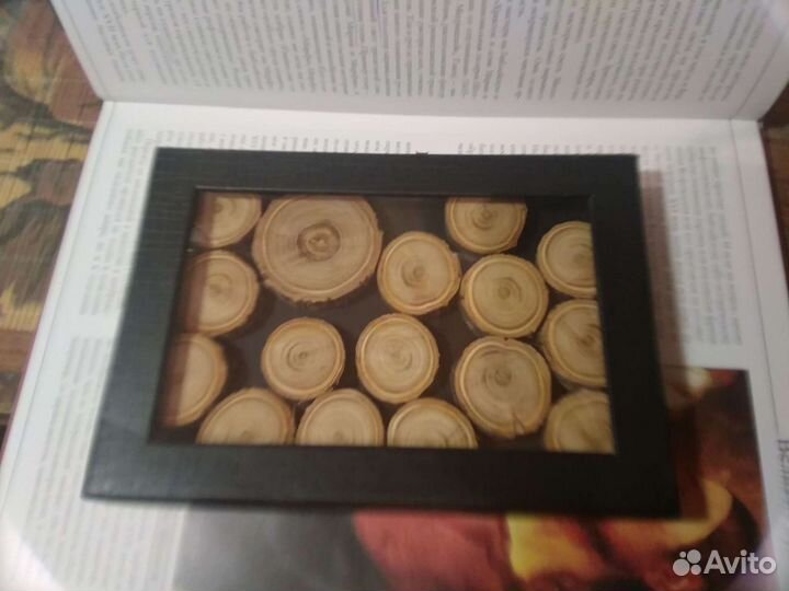 Спилы абрикоса торцевые