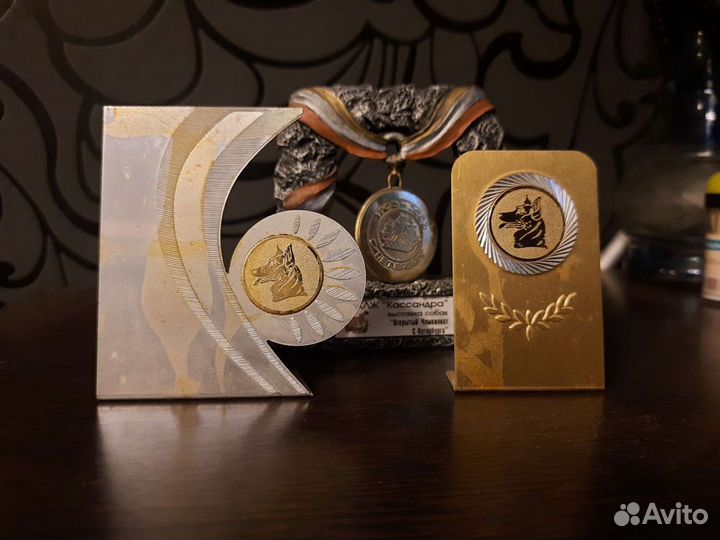 Кинолог дрессировка собак, зоопсихолог,передержка