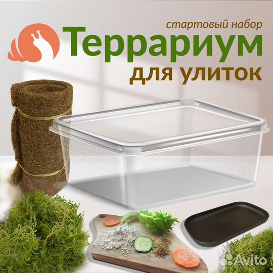 Улитка, улиткарий, террариум для улитки