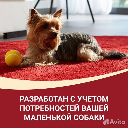 Purina ONE активная для взрослых собак мелких поро