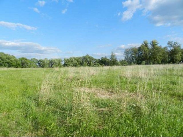 Днп расшифровка. Земель сельхозназначения снт днп. Фото салаирский тракт поля лес. Участки ижс деревня еремеево. 4 гектара.