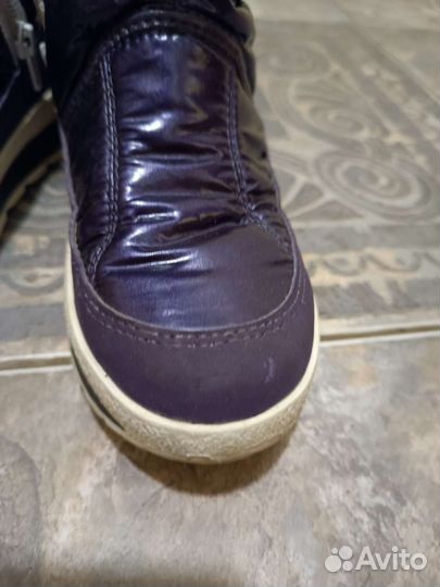 Сапоги зимние jog dog 33