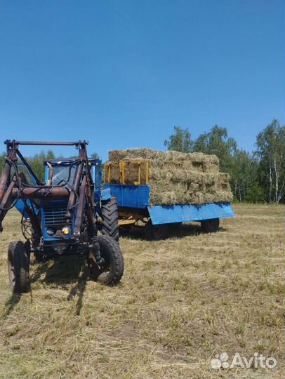 Сено в тюках