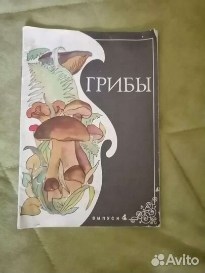 Журнал грибы СССР