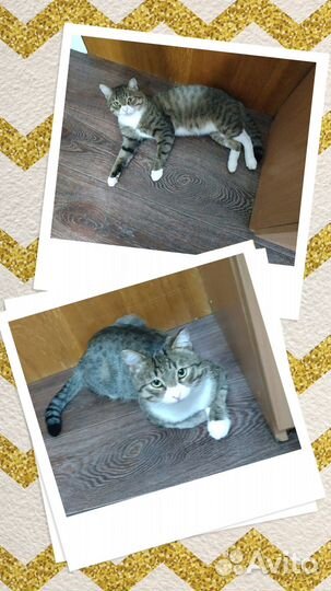 В ответственные руки