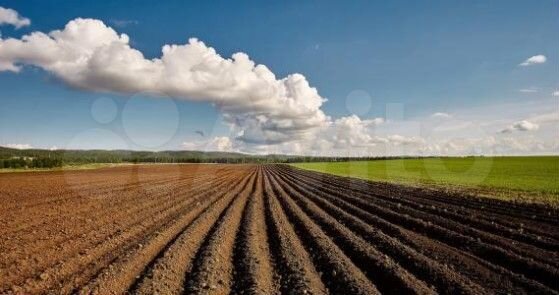 Участок 4 га (СНТ, ДНП)