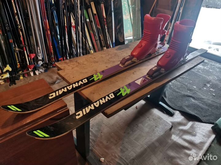 Горные лыжи