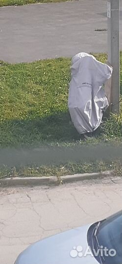 Кросс трек лесник