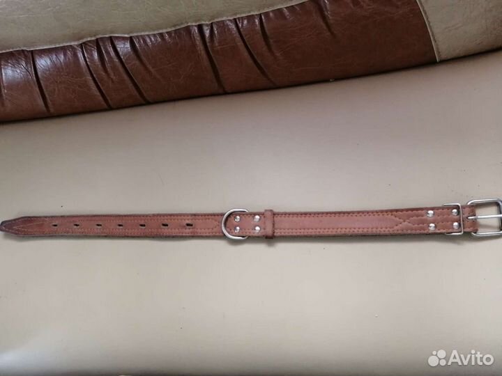 Ошейник для собак