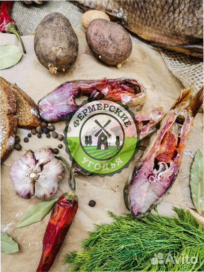 Рыба северная Язь Щука Щекур Мохтик Лещ Сырок