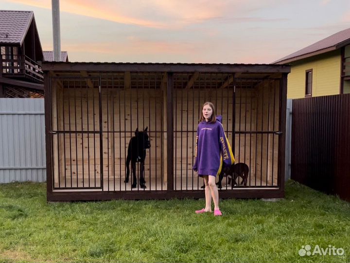 Вольеры для собак от производителя