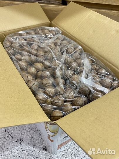 Макадамия орех в скорлупе свежий урожай опт