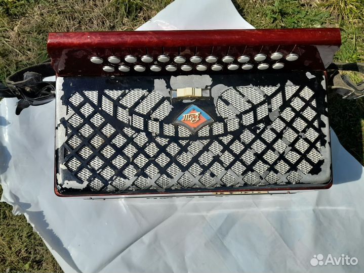 Гармонь чайка