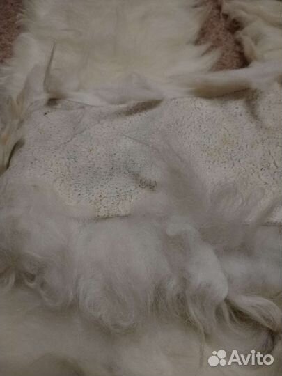 Шкурка животного