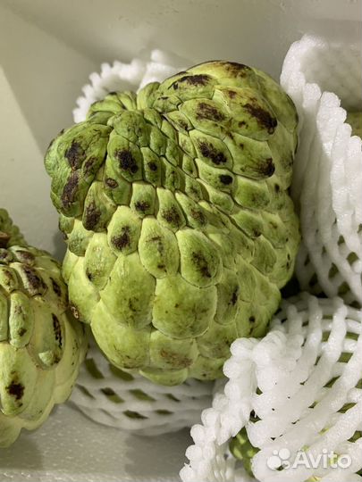 Черимойя свежая отборная вкусная сахарное яблоко