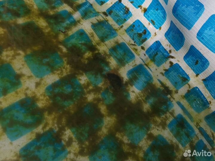 Каркасный бассейн intex круглый 5м3 б/у