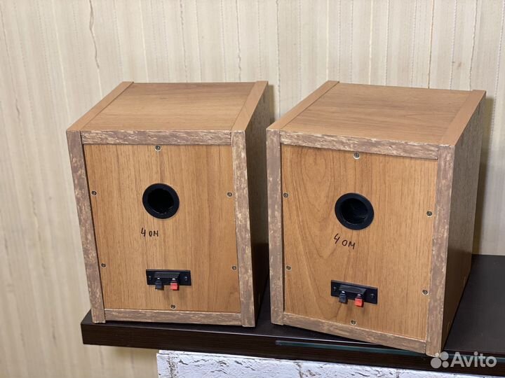 Трифоник: ас Prology + Саб Ultimate, USA