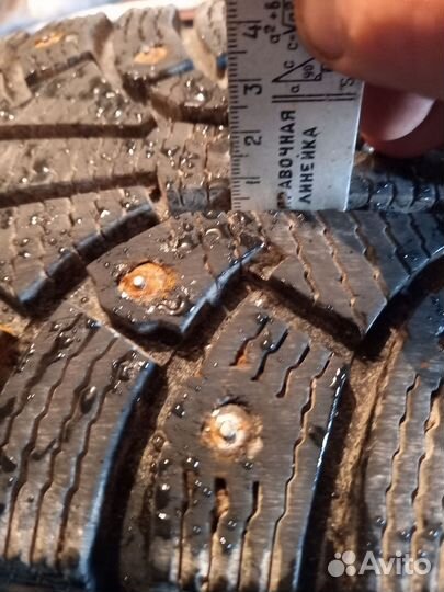 Nokian Tyres Hakkapeliitta 5 205/65 R15 99