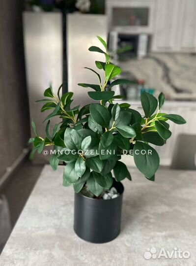 Искусственное дерево/куст Фикус