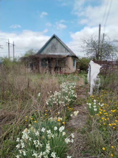 Дача 20 м² на участке 6 сот.