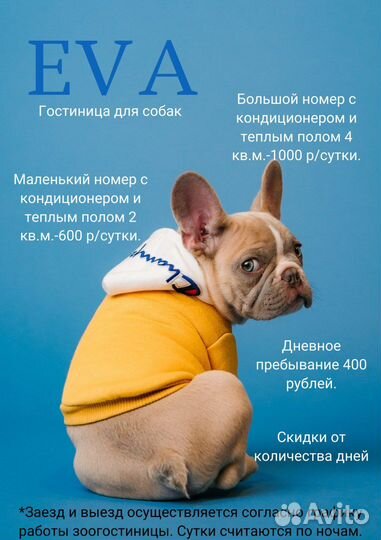 Передержка для собак