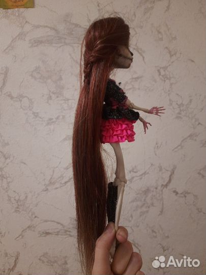 Monster high