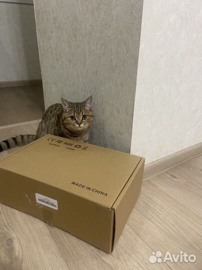 Светильник настольный