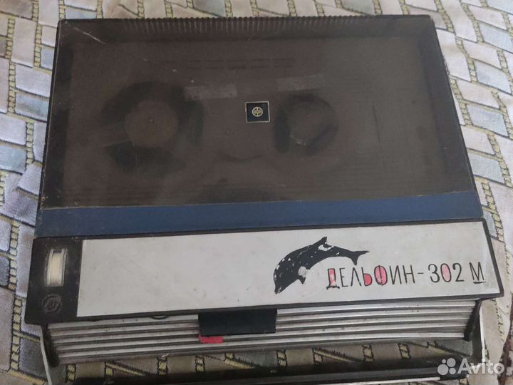 Дельфин 302 м