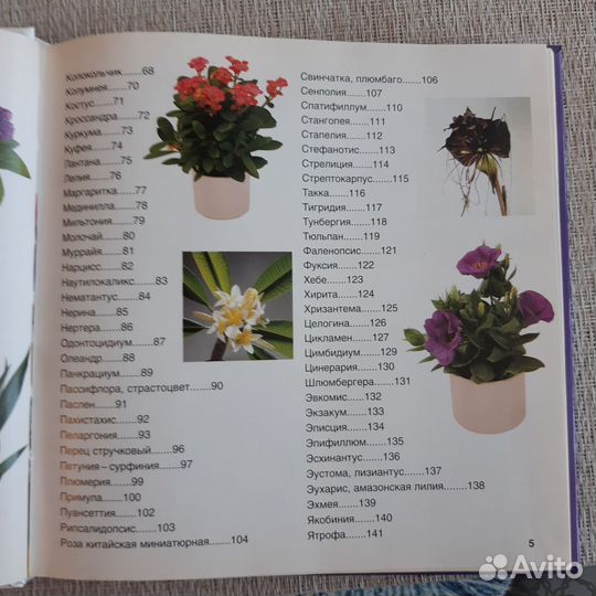 Книга по уходу за комнатными растениями