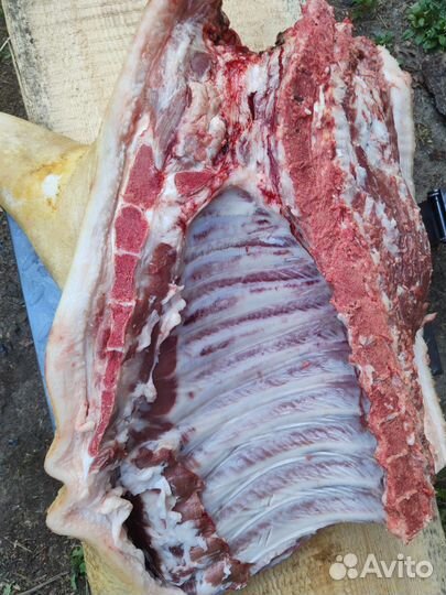 Мясо свинина домашняя