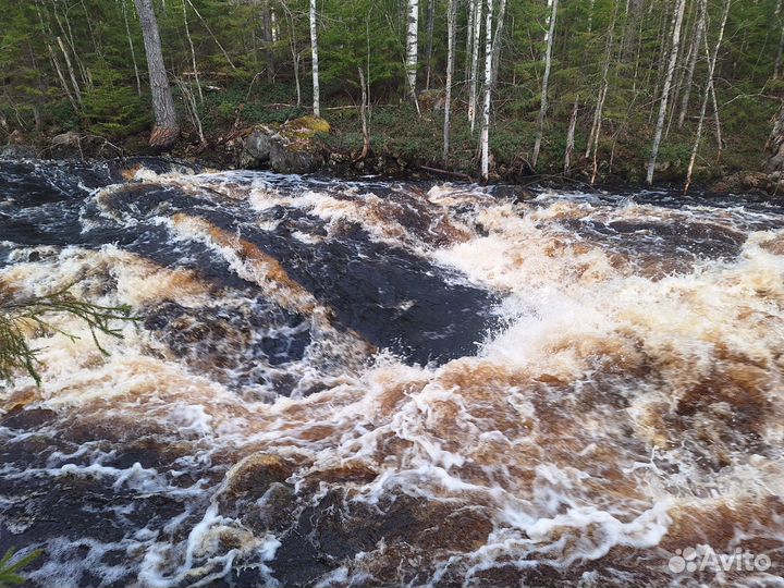 Сплав по реке Лоймола