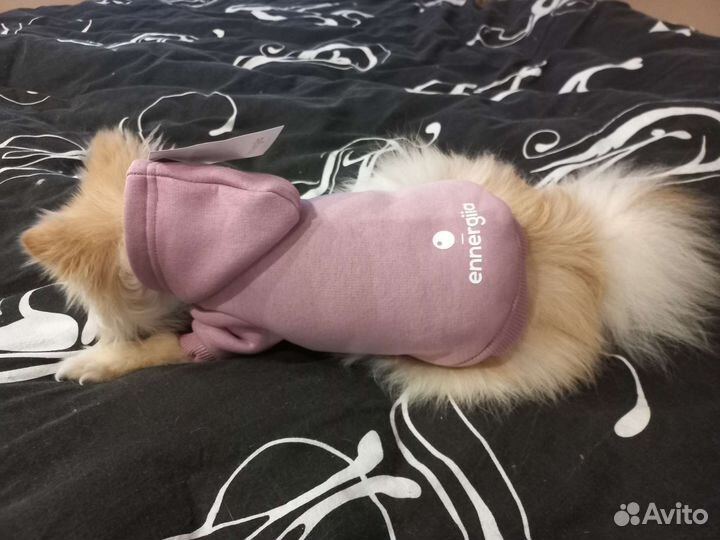 Худи для собак