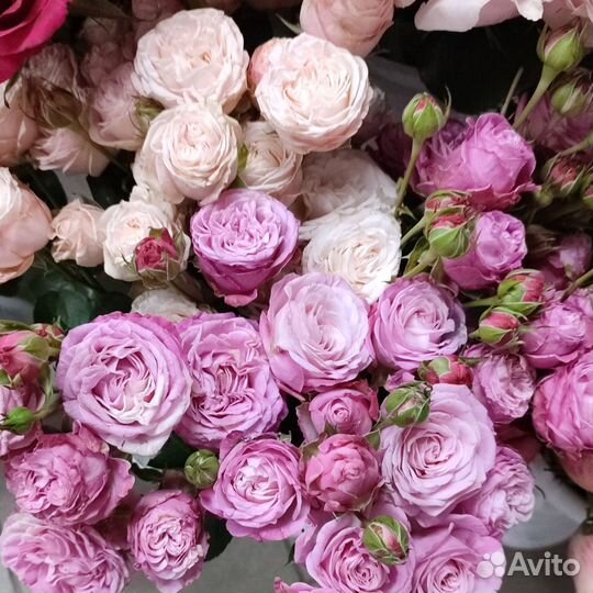 Пионовидные розы