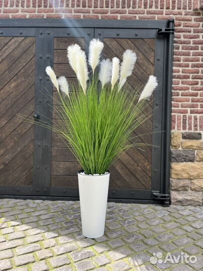 Осока искуственная