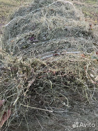 Сено в тюках