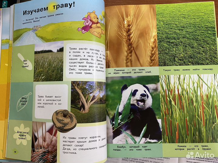 Природа. Моя первая энциклопедия