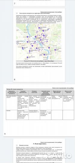 Бизнес-план для соцконтракта